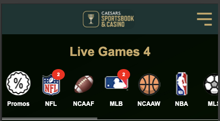 Sports Betting Image